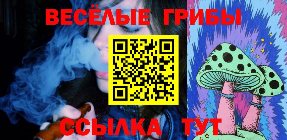 Галлюциногенные грибы GOLDEN TEACHER Сертолово