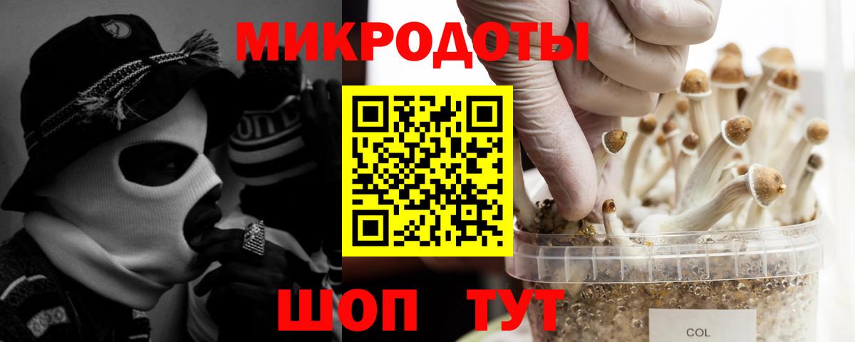 Галлюциногенные грибы Psilocybine cubensis  Вход с VPN  как найти наркотики  Псилоцибиновые грибы мухоморы  Сертолово 
